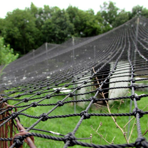 高品质2*2厘米打结家禽塑料网家禽网鸡跑鹰网 - Product Image 5