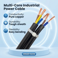 Cable de Cobre Libre de Oxígeno RVV 60227 IEC 53, Cable de Alimentación Eléctrica Multifilar Redondo Flexible con Revestimiento de PVC