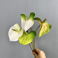 Bunga buatan Anthurium asli kualitas tinggi dalam vas ukuran kecil untuk dekorasi pernikahan & Rumah