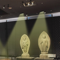 Haut-parleur directionnel personnalisable avec amplificateur pour exposition, commerce de détail, hôpital