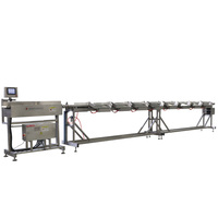 Équipement d'abattage de volaille halal 500BPH pour l'abattage de la viande de volaille, machines d'abattoir, usine de transformation