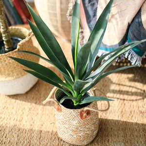 Wholesale Large Nordic Style <b>Artificial</b> Plastic UV Resistance High Quality Indoor Hotel Office Fresh Decorative Plant Potted - Product Image 2
