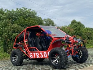 Go Kart a Gasolina, Buggy para Adultos y Niños - Product Image 4