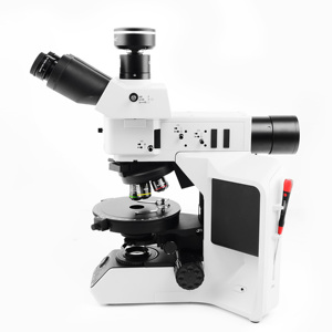 Material Biológico de Grado Industrial y de Nivel de Investigación para Laboratorio Médico y Enseñanza Científica - Product Image 4