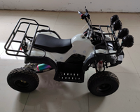 Quad électrique tout-terrain pour adolescents, prix usine, idéal pour la plage et le sable en Afrique du Sud