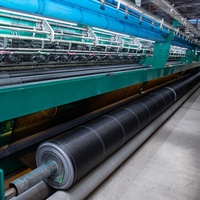 Nouveau matériau HDPE noir serre pare-soleil filet pour l'agriculture 30%-90% filet d'ombrage horticole