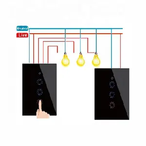 OEM ODM US AU 1 2 3-Gang 3-Wege-Alexa Voice Tuya eWelink Dual-Fernbedienung Temper glas Touch 2-Wege-WLAN-Smart-Lichtschalter