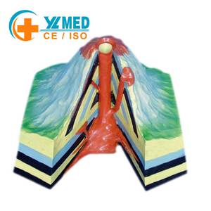 Modèle pédagogique <span class=keywords><strong>de</strong></span> volcan géographique CE, matériel pédagogique géologique, équipement pédagogique <span class=keywords><strong>de</strong></span> géographie pour les collèges et les lycées - Product Image 1
