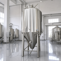 Cuve de Fermentation Industrielle Tonsen 100HL 300HL avec Enveloppe Chauffante pour Brasserie Commerciale – Réservoir de Stockage BBT pour Ligne de Production
