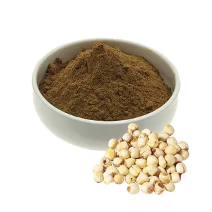 Puro seme naturale Nelumbinis/estratto di semi di loto