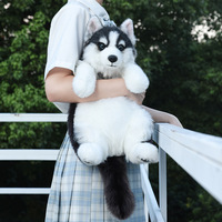 Peluche personnalisée mignonne Husky Simulation Chat avec bandoulière réglable, lavable, multifonctionnelle, cadeau pour animaux de compagnie
