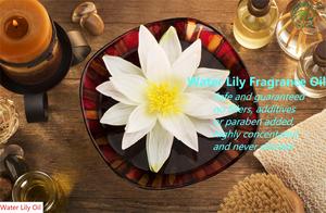 HL-Nhà Sản Xuất Tinh Dầu Nước Hoa Thiết Kế Sang Trọng, Dầu Thơm Hoa Huệ Nước Số Lượng Lớn Để Làm Nến Thơm | Bền Lâu - Product Image 2