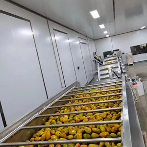 Ligne de production automatique multifonctionnelle de pulpe de mangue Trancheuse de mangue fraîche Machine à jus - Product Image 2