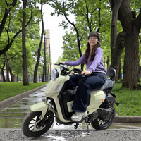 Vélo de ville électrique sans balais 350 W, cadre en acier, 7 vitesses, suspension intégrale, batterie au plomb-acide 48 V, écran LCD adapté