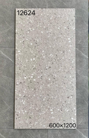 Carreaux de sol en céramique modernes nordiques, grand format 1200*600, gris clair mat, imitation pierre texturée, pour intérieur et entrepôt