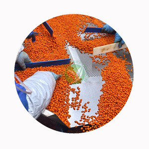 XMSD Argousier congelé, soigneusement traité pour préserver les nutriments, idéal pour les importateurs ayant besoin de produits certifiés - Product Image 5