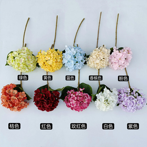 ¡Venta al por mayor! <span class=keywords><strong>Flores</strong></span> <span class=keywords><strong>de</strong></span> hortensias artificiales <span class=keywords><strong>de</strong></span> alta calidad, tallo <span class=keywords><strong>de</strong></span> hortensias <span class=keywords><strong>de</strong></span> seda Rosa Blanco a granel para decoración, precio barato, venta al por mayor, en el mercado, en el mercado, en el momento <span class=keywords><strong>de</strong></span> la venta al por mayor, para Decoración - Product Image 4