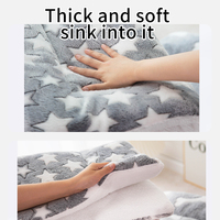 Tapis de couchage pour chien anti-morsure, couverture douillette et super douce pour l'hiver, lavable, moderne, motif dessin animé, pour voyage, couverture en peluche pour animaux de compagnie