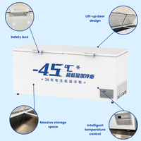 Vente directe d'usine -30 ° Congélateur basse température de grande capacité C 460L pour usage commercial et domestique