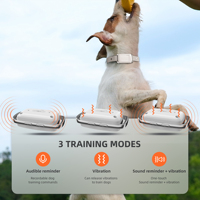 PATPET Hunde-Trainingshalsband ohne Schockfunktion mit LED-Nachtlicht und Aufnahmefunktion, Walkie-Talkie elektronisches Hunde-Trainingshalsband