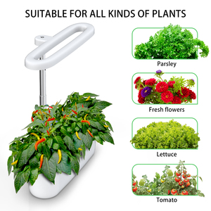 BA-HGS01 sistemi di coltivazione idroponica dell'interno della <span class=keywords><strong>luce</strong></span> crescente del giardino astuto domestico dell'interno della serra 12W con lo strato di bambù - Product Image 2