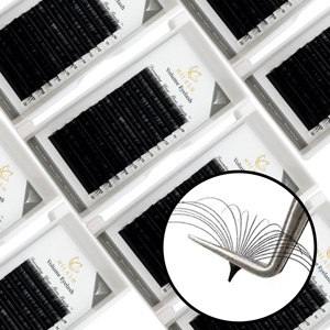 Wimperextensions groothandel professioneel volume matte zwarte cashmere 0.05 0.07 C D J krul wimper trays supplies met aangepast logo - Product Image 1