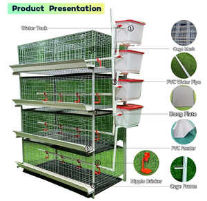 Vendita calda gabbia a strati di batteria 10000 polli da allevamento animali da fattoria tipo h prezzo dimensione di progettazione allevamento polli da carne - Product Image 6