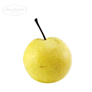 Fournisseur de poires fraîches Prix de gros Import Bulk Pear New Crop