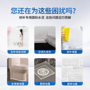 Artistic Bird White Cement 1kg Quick-drying Waterproof Crack Filling Tile Repair Mortar - Product Image 3