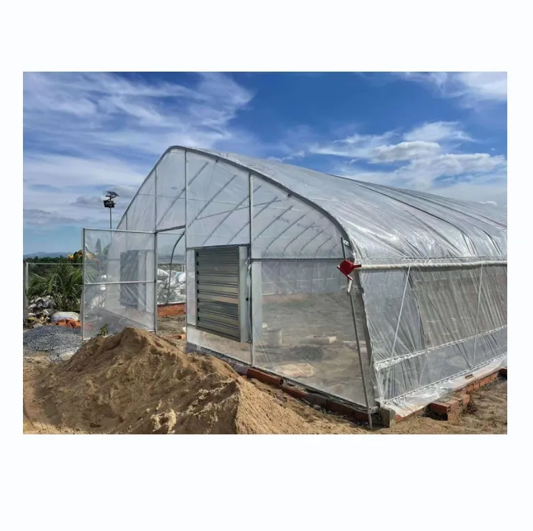 Low tunnel greenhouse vegetable green house serre agricole agricultural greenhouse for planting lettuce  Salad  leafy greens