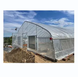 Low tunnel greenhouse vegetable green house serre agricole agricultural greenhouse for planting lettuce, Salad, leafy greens