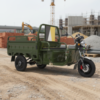 Tricycle électrique à 3 roues EEC COC avec réglage à 3 vitesses 1000W pour conditions routières variables