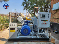 Compresor de gas licuado de petróleo LPG CNG Compresor de biogás pequeño