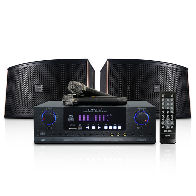 Home KTV Karaoke Sound System Audio Professional Party Wood Speaker Amplifier System with Wireless Microphone
