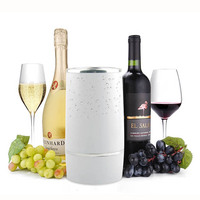 Seau à glace pour champagne et vin avec bac en plastique à double paroi pour bouteille de bière, boisson, fête, refroidisseur de boissons, bac de rangement