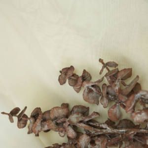 تصنيع الصين مورد جودة اللمس ديكور هويا كارنوسا ماريج - Product Image 6