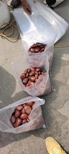 Pierre de <span class=keywords><strong>gravier</strong></span> de galet de pierre rouge polie par haute usine directe avec la pierre de rivière de bon prix - Product Image 5