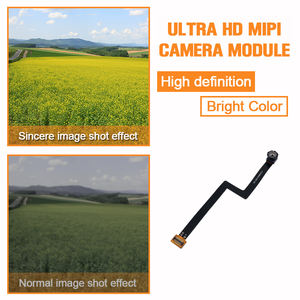 Módulo de Cámara Monocromática OV7251 de Forma Especial Personalizada, Obturador Global de 0.3MP, Interfaz Mipi de 24 Pines, Gran Angular, Tecnología COB, Nube - Product Image 5