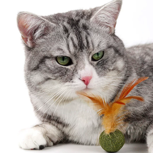 Cute <strong>Catnip</strong> Mice Cat Toys Interactive Enrichment Cat <strong>Catnip</strong> Ball with Feather - Product Image 4