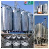 Grand silo de stockage de céréales en acier galvanisé de 3000 tonnes, entrepôt de stockage de blé, réservoir