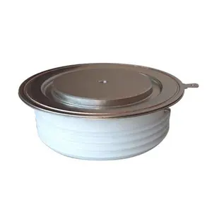 Bgr25-1600.1 Mô-đun Chuyển Mạch 2800V <span class=keywords><strong>Thyristor</strong></span> Scr - Product Image 1