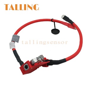 Cavo Positivo Batteria <span class=keywords><strong>Ricambio</strong></span> Auto 61129259425 Per <span class=keywords><strong>BMW</strong></span> Serie 3 330LiX 2015-2022 - Product Image 1