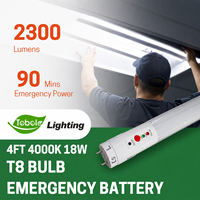 Tube lumineux LED rechargeable de 4 pieds en aluminium et PC avec batterie intégrée, indice de protection IP65