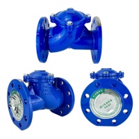 Katup Bola Pencegah Aliran Balik (Non-Return Valve) PN10-64 dari Besi Ulet untuk Air Laut, Mudah Perawatan, Sambungan Flens untuk Limbah