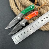 Fabrikant Zakmes VG10 Damascus Staal Ambidextrous Vouwzakmes Survival Fruitmes Draagbaar Kampeermes