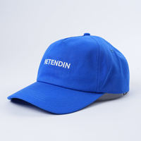 Lage profiel customisatie alle seizoenen unisex borduurlogo nieuwe outdoor katoenen hoge kwaliteit 5-delige gebogen klep pet