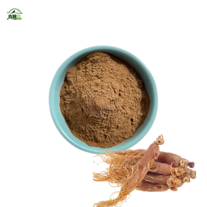 ผงสารสกัดจากโสมแดงจากรากโสม10:1 20:1ผงสกัดจากรากโสมเกาหลี - Product Image 2