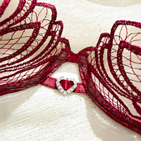 Ensemble de lingerie en dentelle pour femmes, sexy, rouge vin, broderie, soutien-gorge et culotte, strass en forme de cœur, pour femmes, lingerie exotique, vente en gros OEM