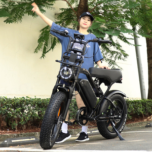 X80PRO VOMO Vélo électrique Fatbike 20 pouces Moteur 250W Pneu large Vélo électrique adulte Cargo FAT Vélo électrique 7 vitesses Vélo de montagne électrique Ebike - Product Image 2