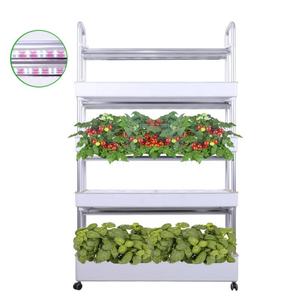 Kit de Equipos Hidropónicos para Cultivo de Lechuga en Interiores, Luces LED de Cultivo para Jardín Vertical con Riego Automático - Product Image 3